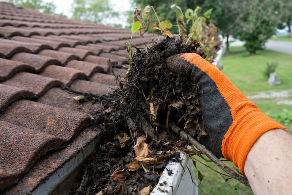 cleaning gutter on a tiled roof