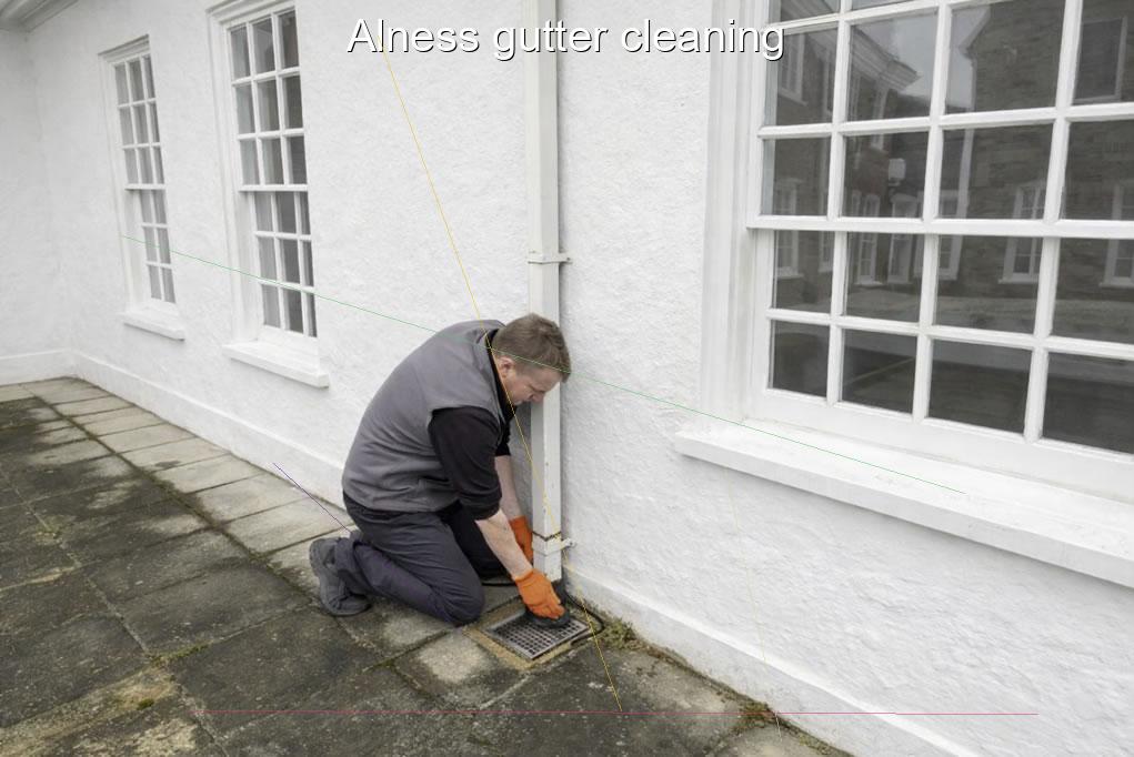 Alness gutter cleaning