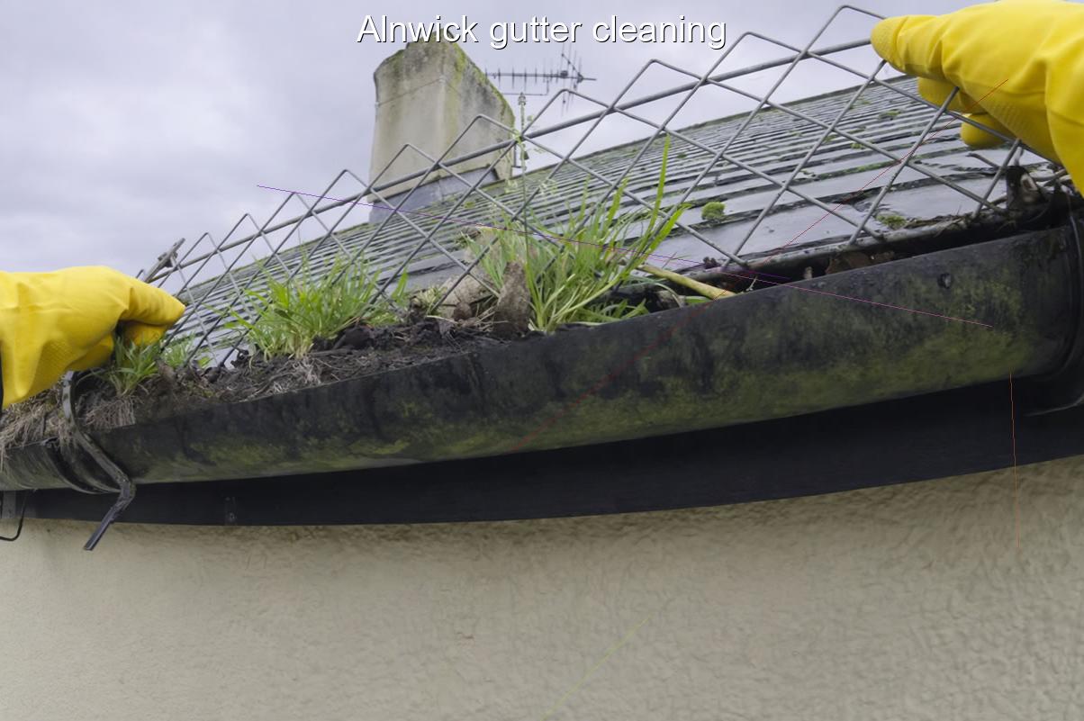 Alnwick gutter cleaning