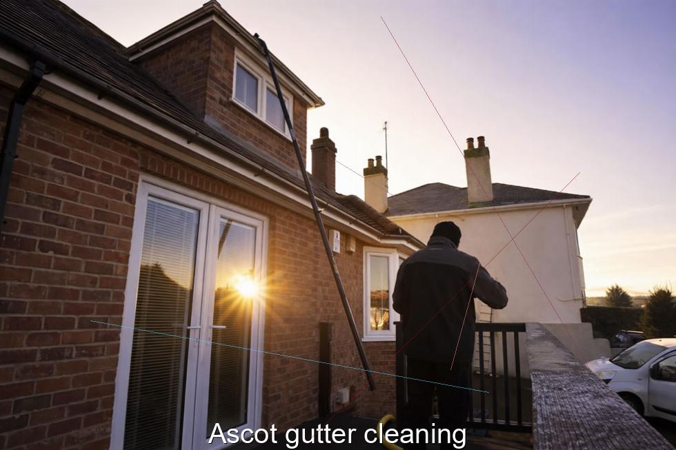 Ascot gutter cleaning