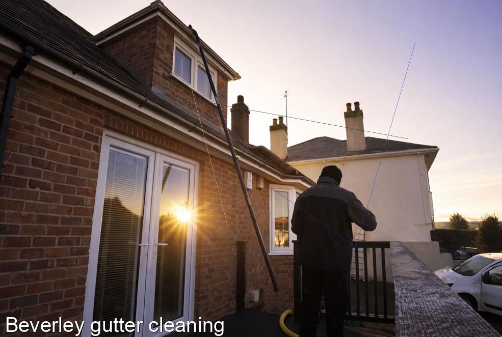 Beverley gutter cleaning