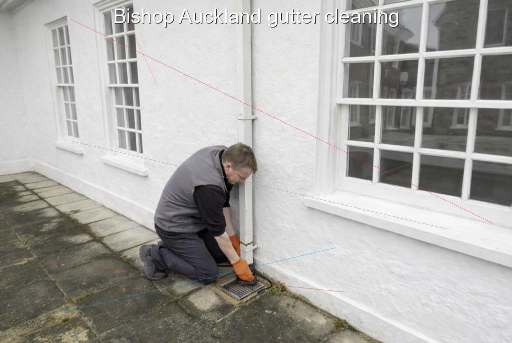 Bishop Auckland gutter cleaning