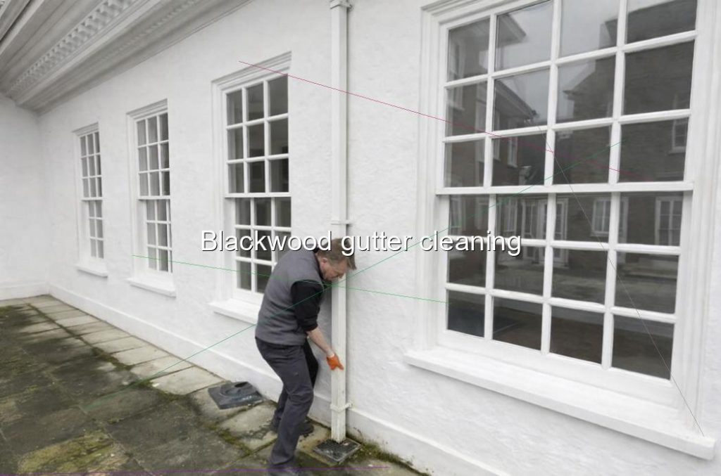 Blackwood gutter cleaning