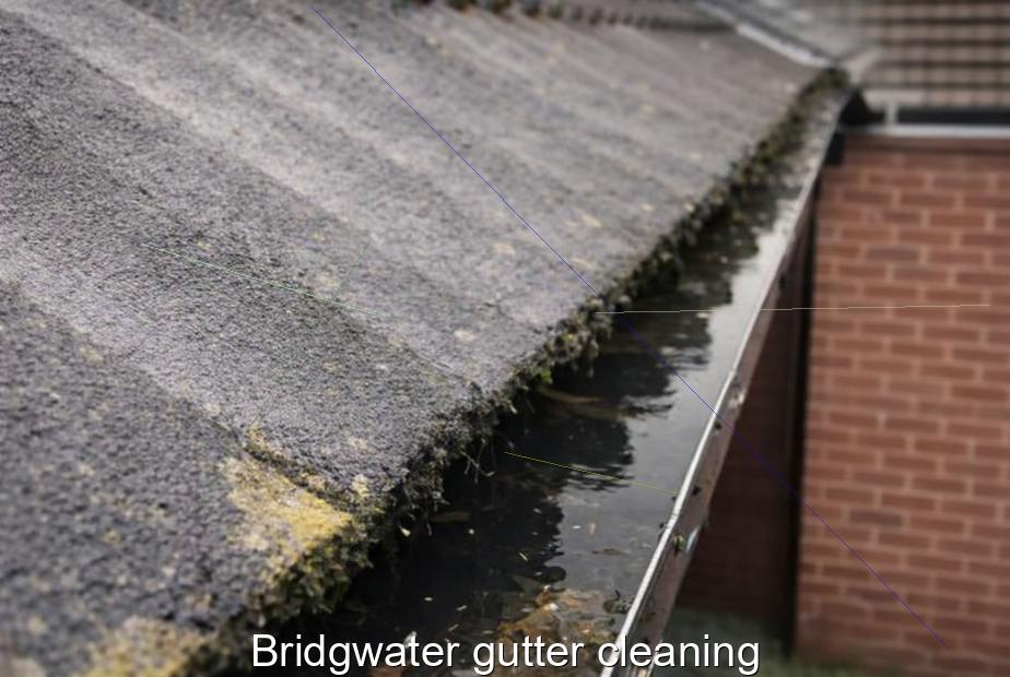 Bridgwater gutter cleaning