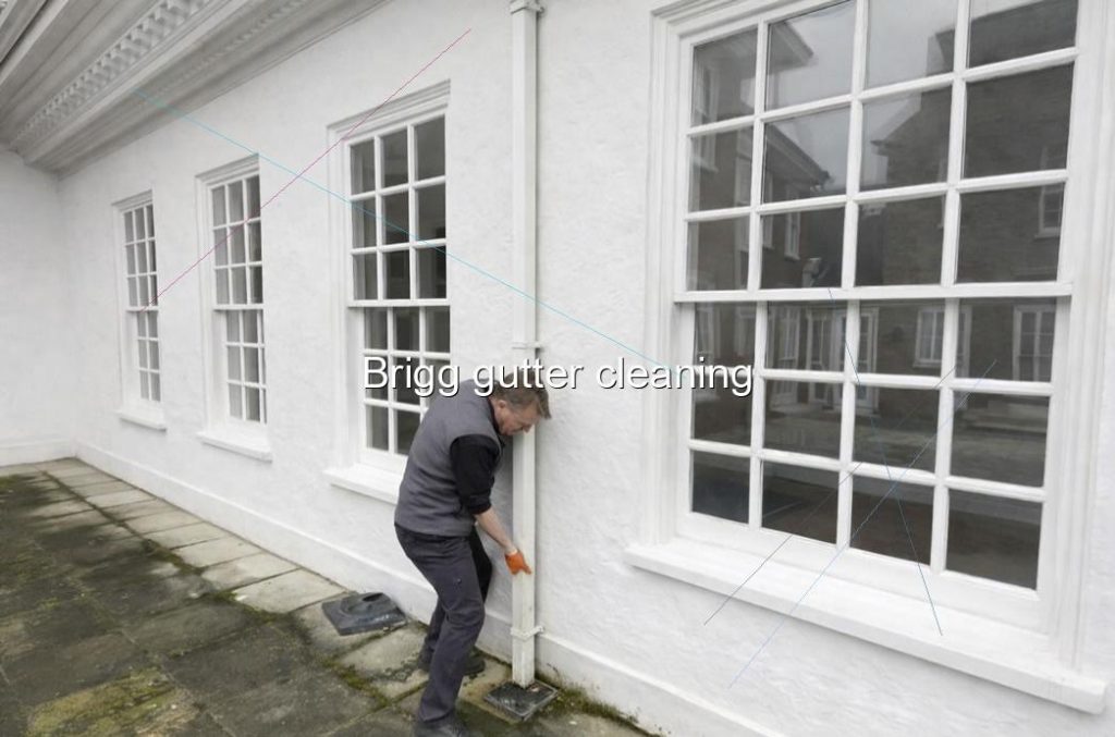 Brigg gutter cleaning
