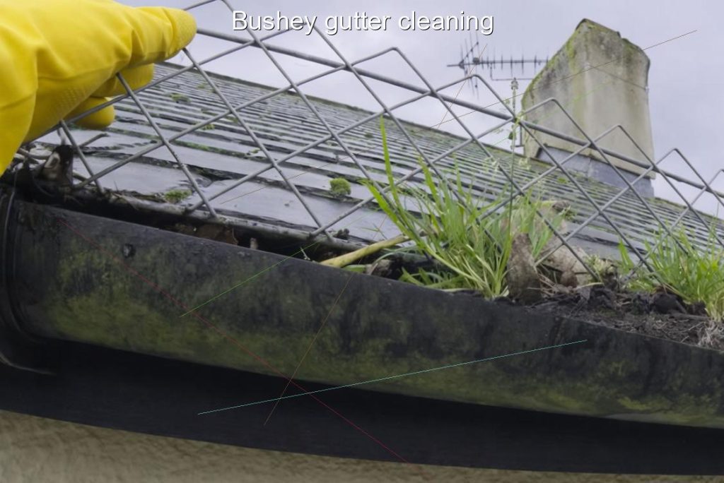 Bushey gutter cleaning