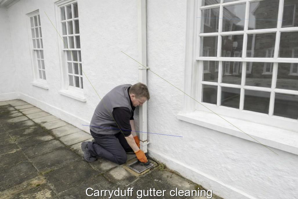 Carryduff gutter cleaning