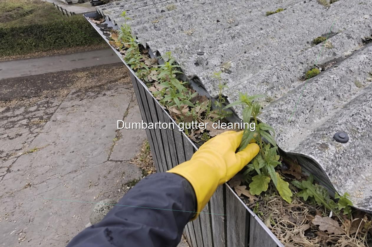 Dumbarton gutter cleaning
