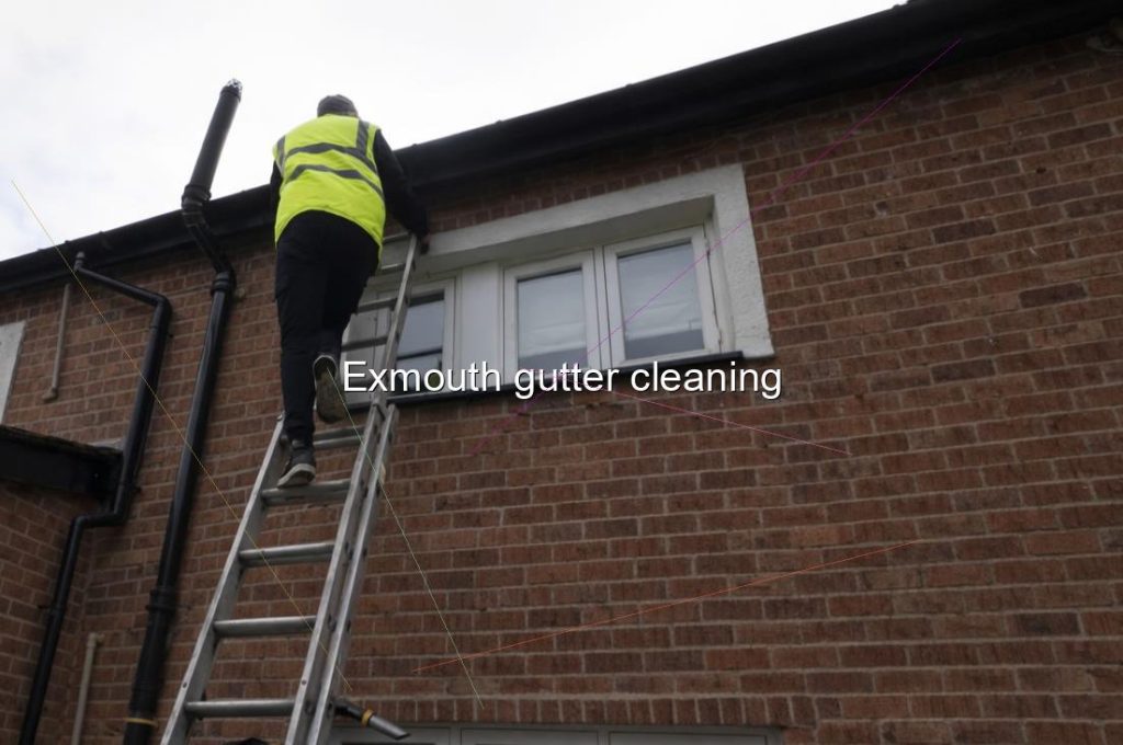 Exmouth gutter cleaning