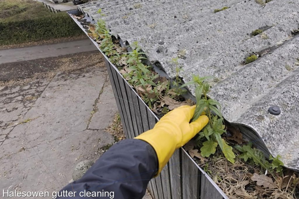 Halesowen gutter cleaning