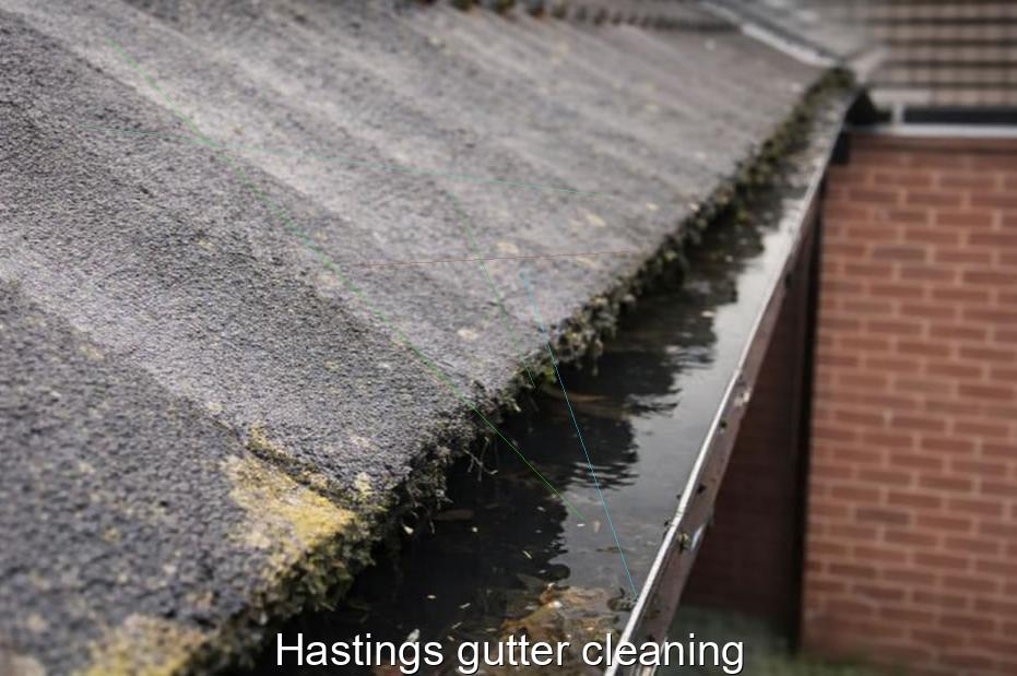 Hastings gutter cleaning
