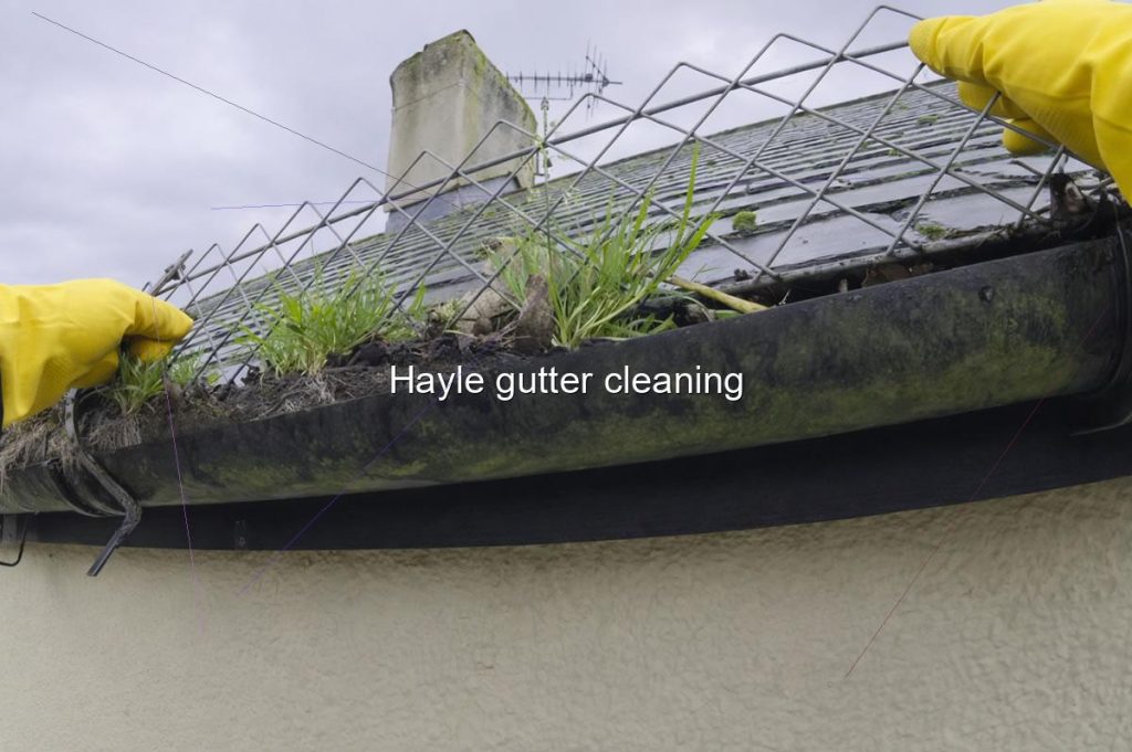 Hayle gutter cleaning