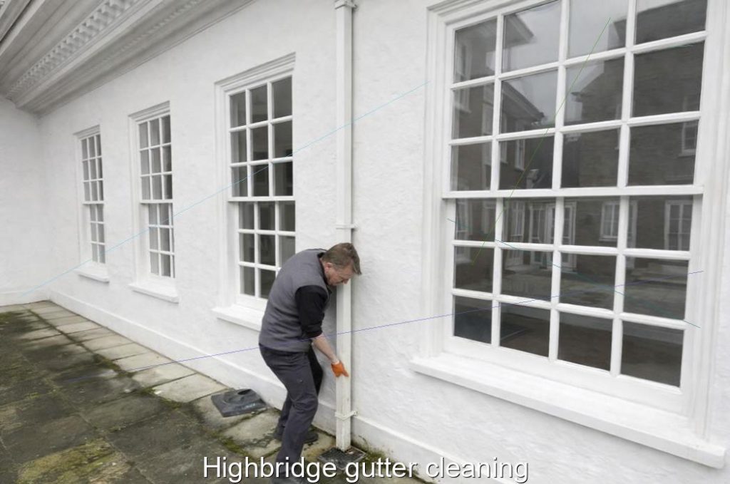 Highbridge gutter cleaning
