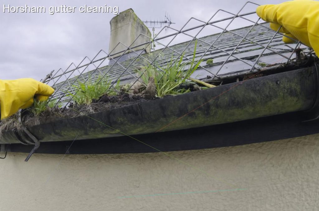 Horsham gutter cleaning