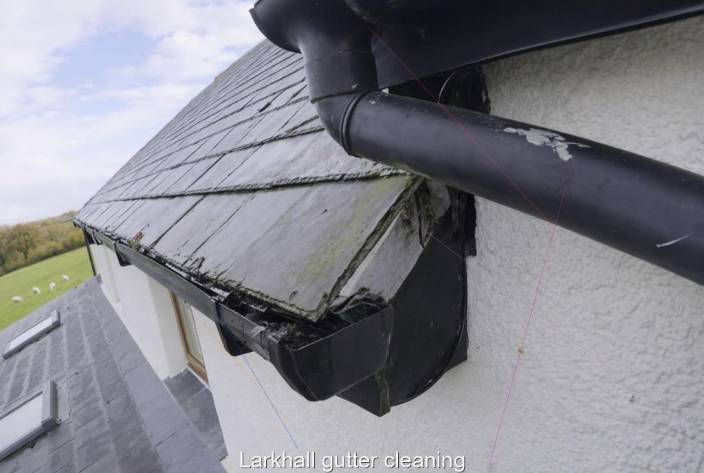 Larkhall gutter cleaning