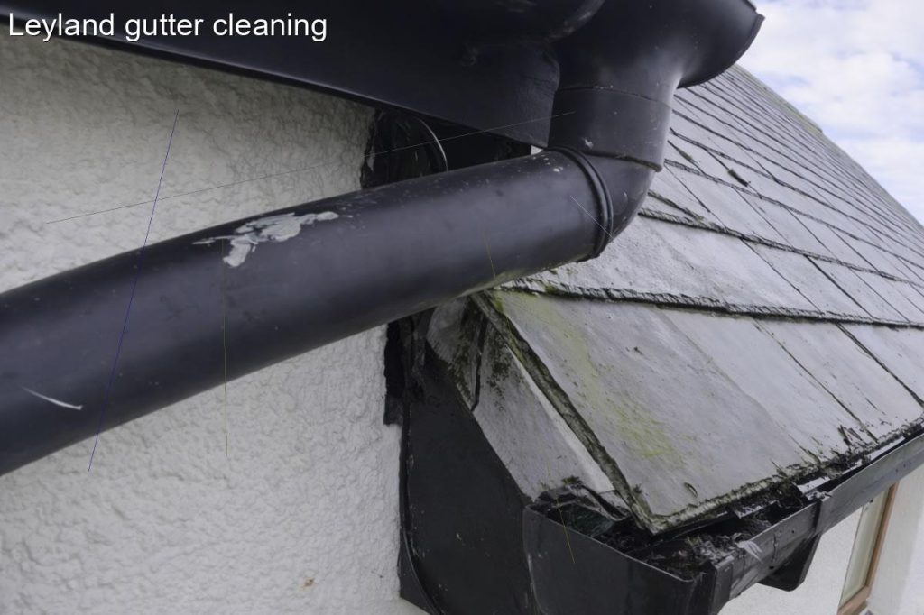 Leyland gutter cleaning