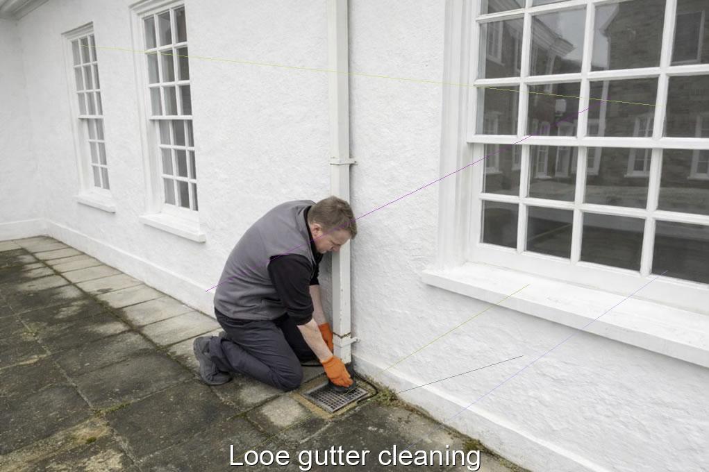 Looe gutter cleaning
