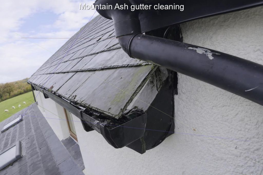 Mountain Ash gutter cleaning