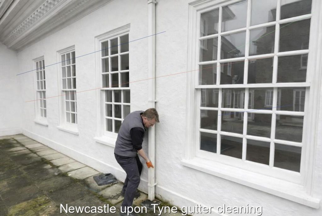 Newcastle upon Tyne gutter cleaning