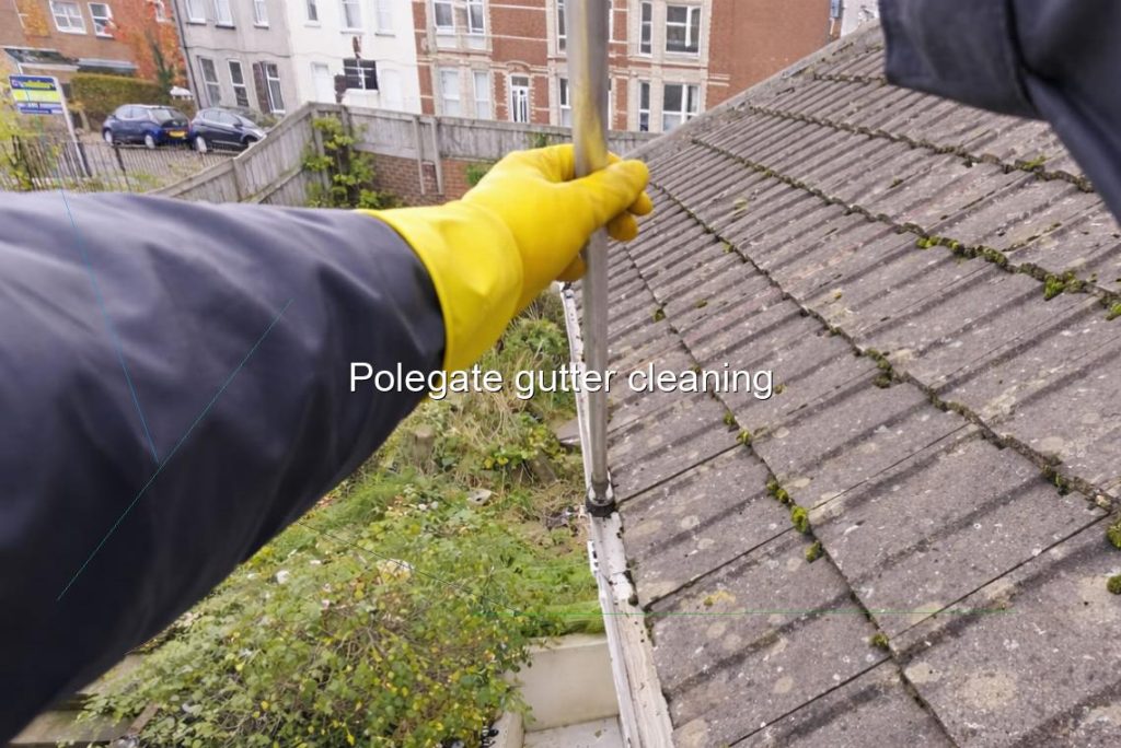 Polegate gutter cleaning