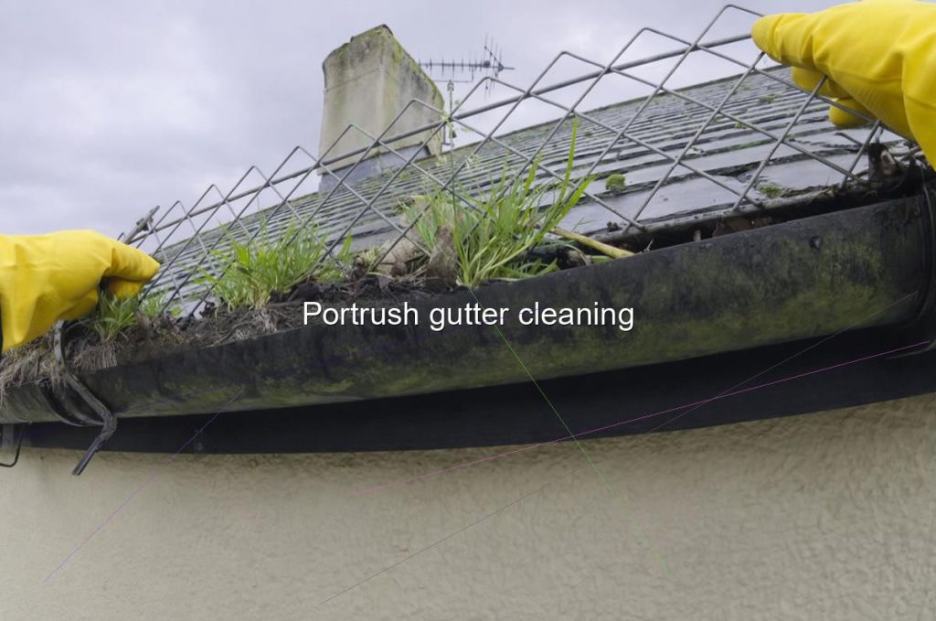 Portrush gutter cleaning