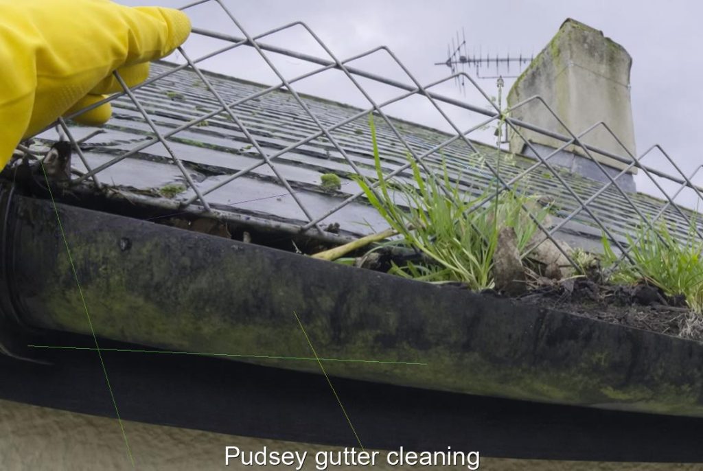 Pudsey gutter cleaning