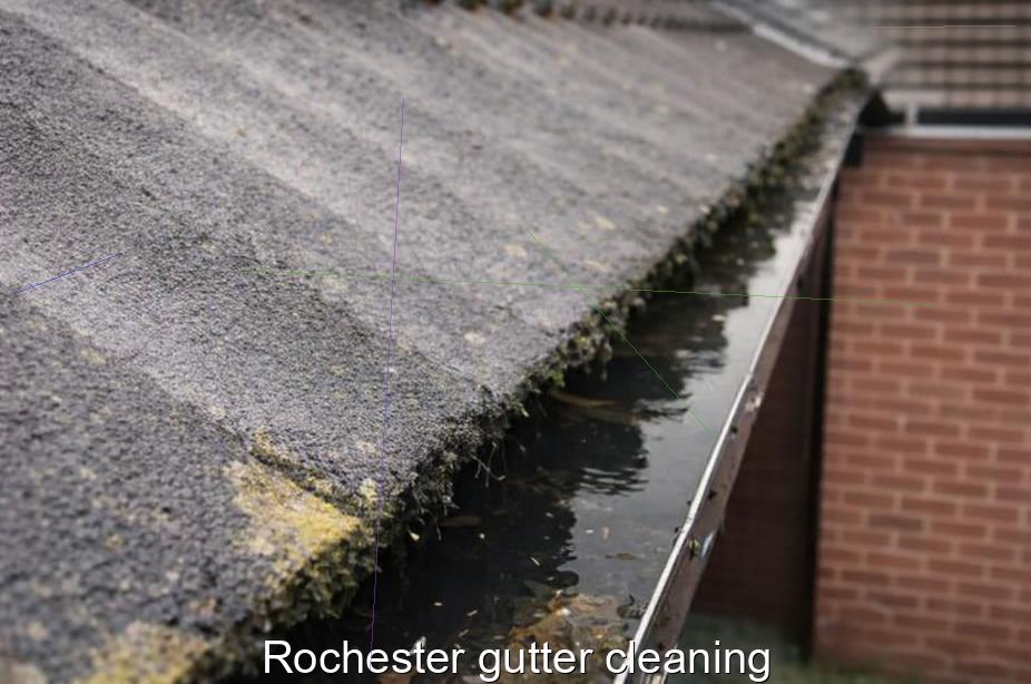 Rochester gutter cleaning