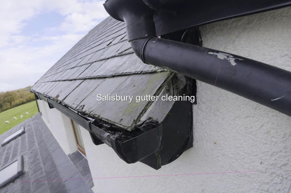 Salisbury gutter cleaning