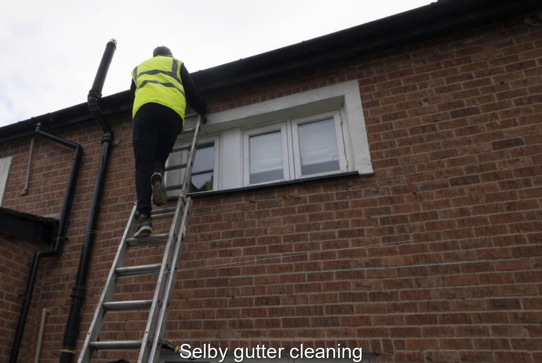 Selby gutter cleaning