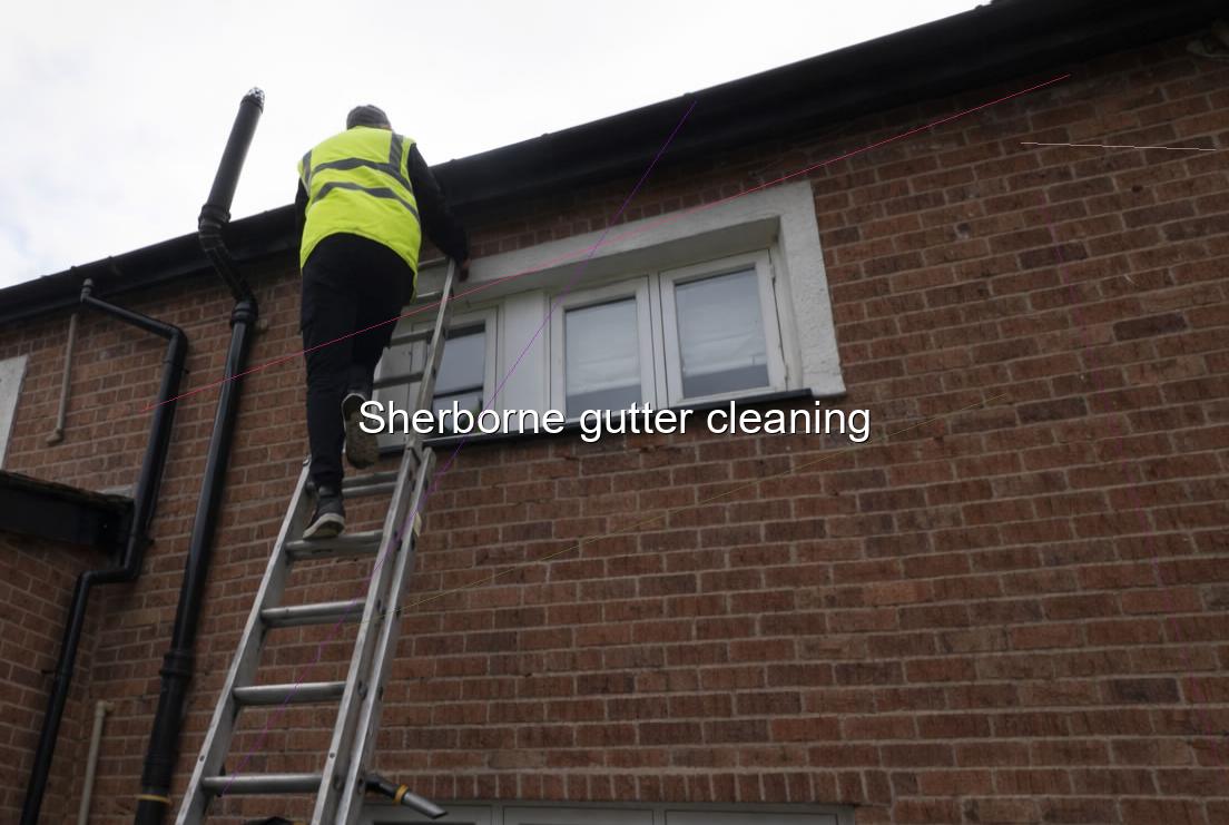 Sherborne gutter cleaning