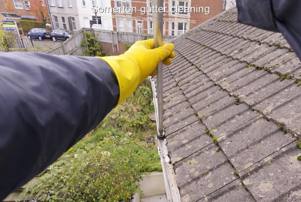 Somerton gutter cleaning