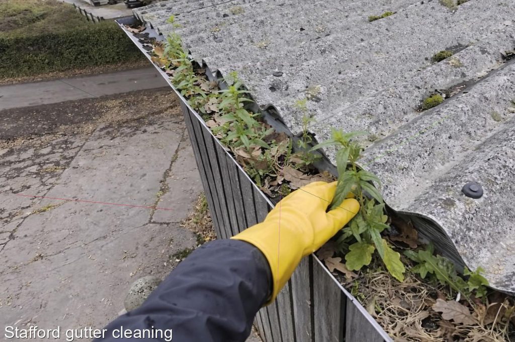 Stafford gutter cleaning
