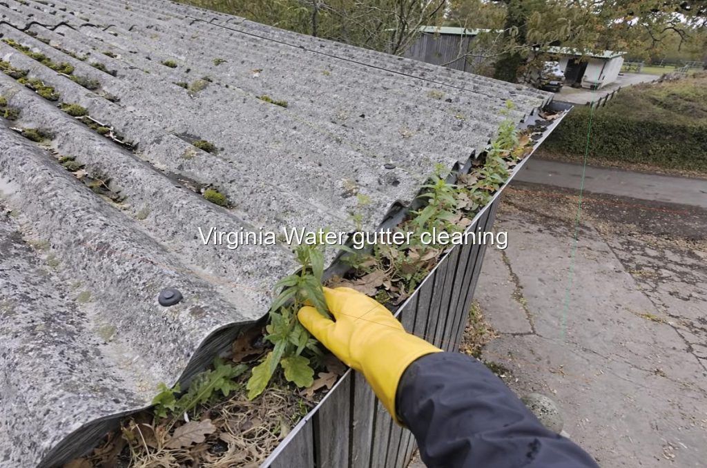 Virginia Water gutter cleaning