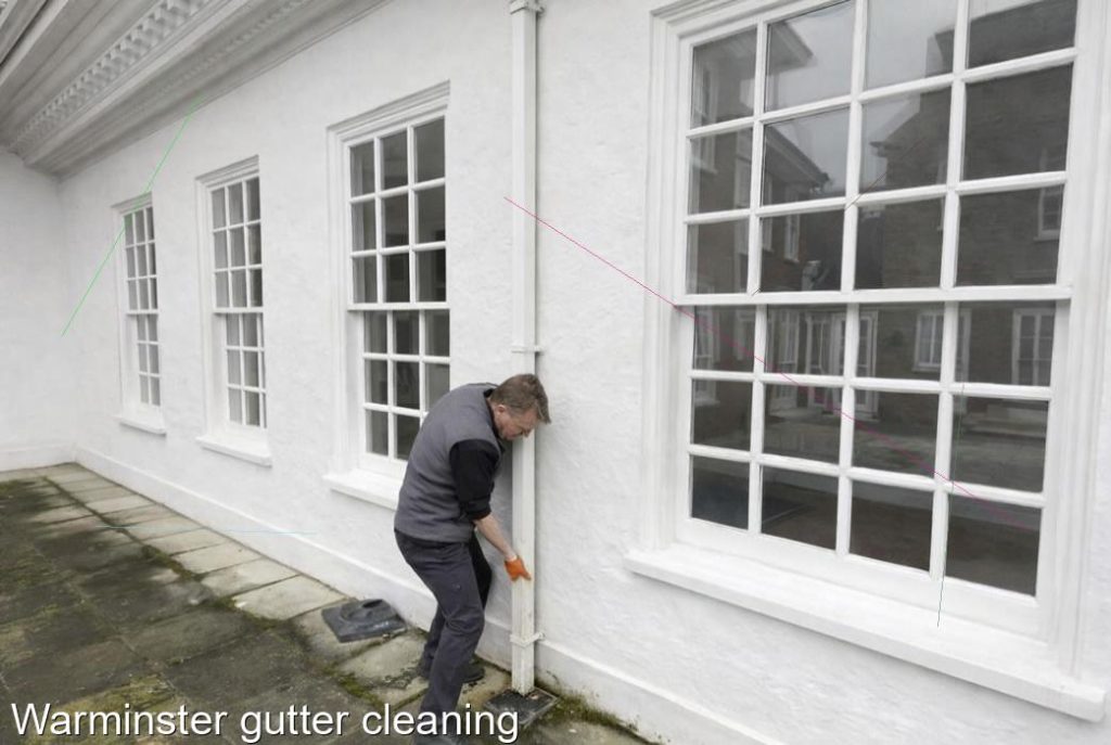 Warminster gutter cleaning