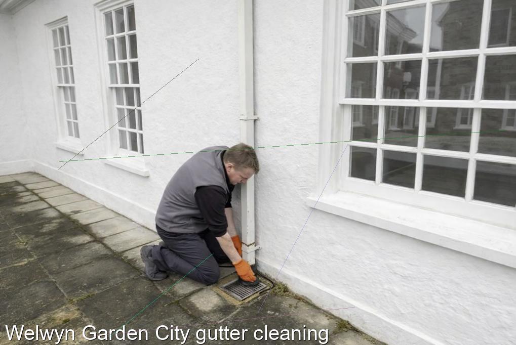 Welwyn Garden City gutter cleaning