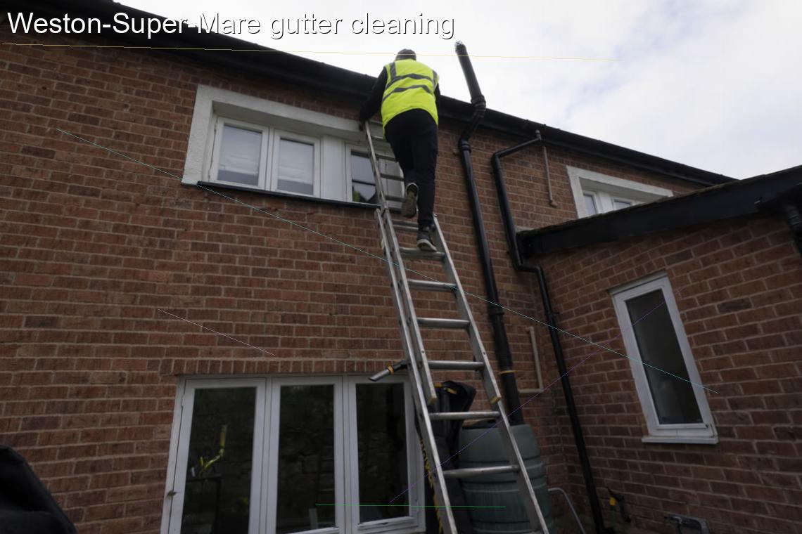 Weston Super Mare gutter cleaning