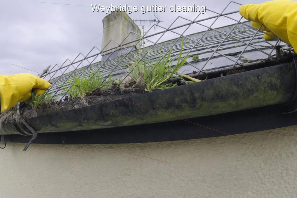 Weybridge gutter cleaning
