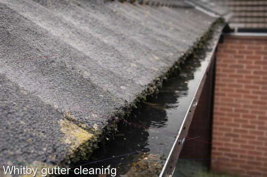 Whitby gutter cleaning