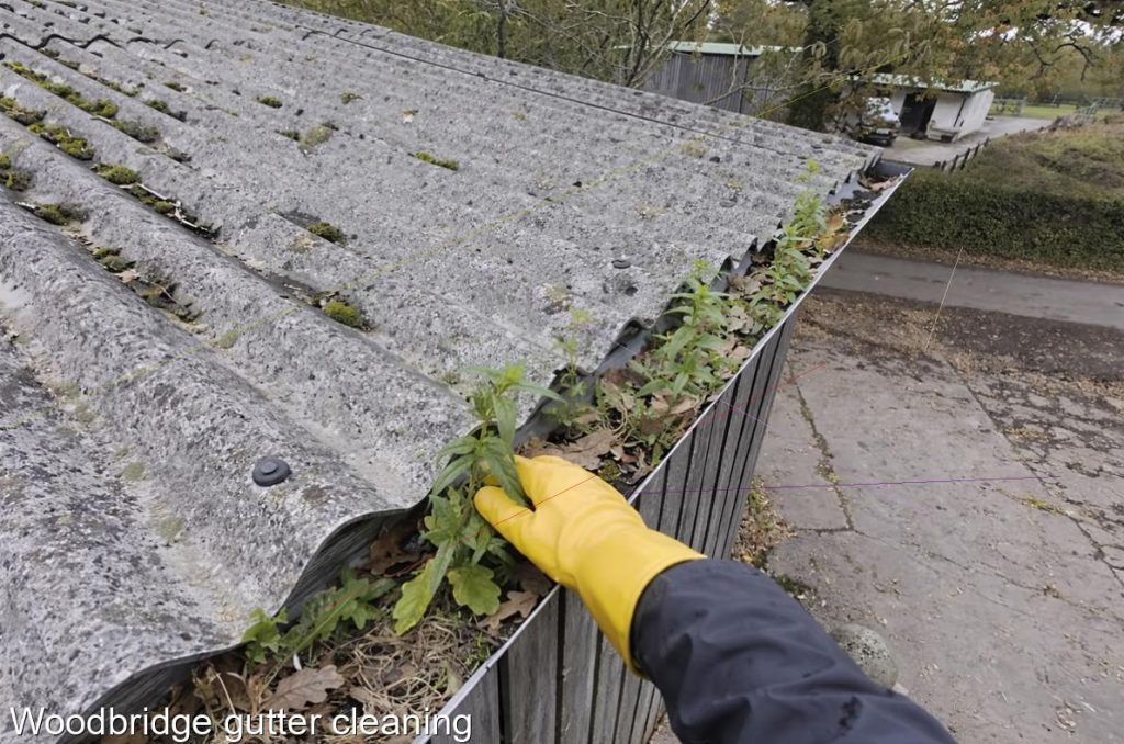 Woodbridge gutter cleaning