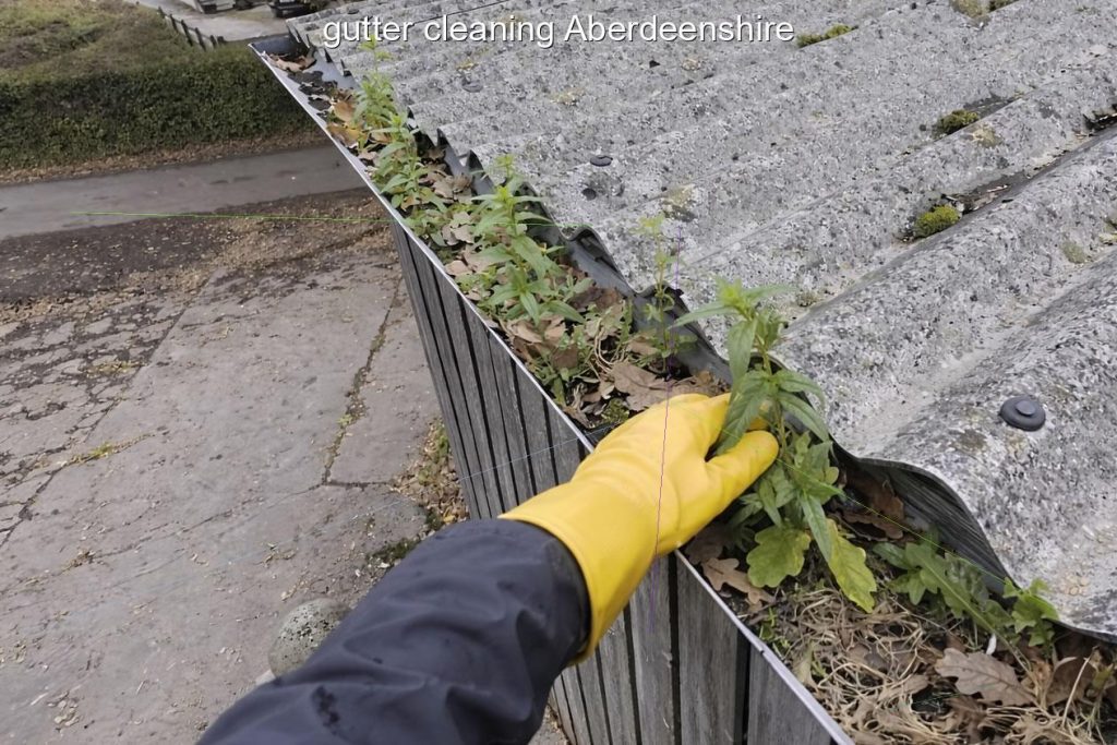 gutter cleaning Aberdeenshire
