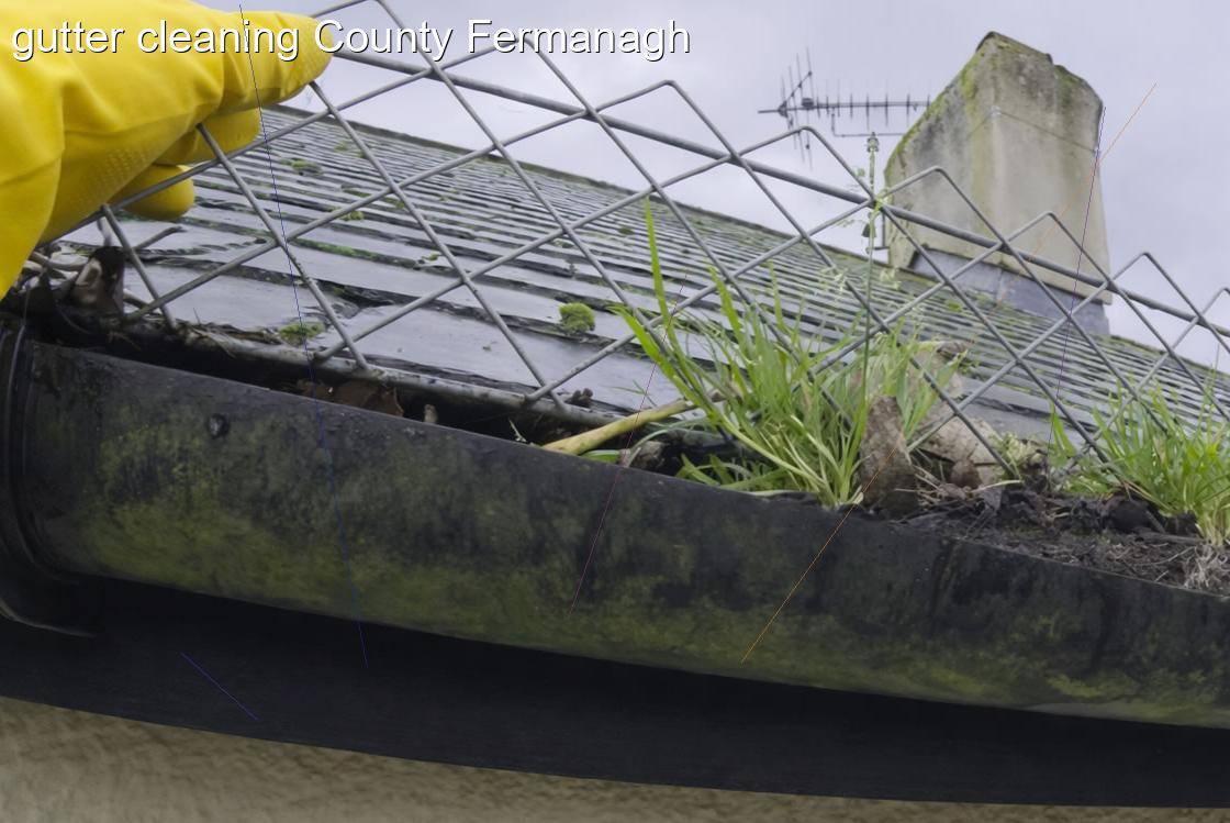 gutter cleaning County Fermanagh
