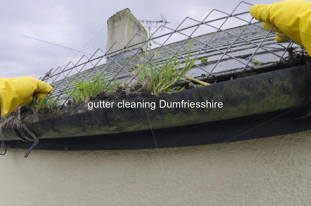 gutter cleaning Dumfriesshire