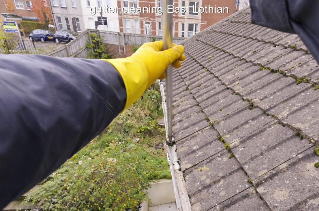 gutter cleaning East Lothian