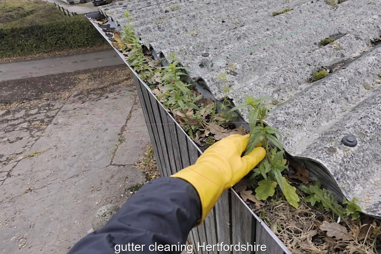 gutter cleaning Hertfordshire