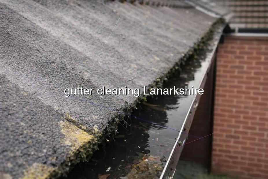 gutter cleaning Lanarkshire