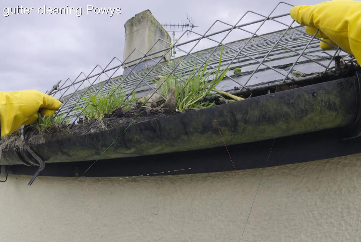 gutter cleaning Powys